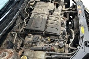 d0e85806-e049-48b3-8927-00f97784e146